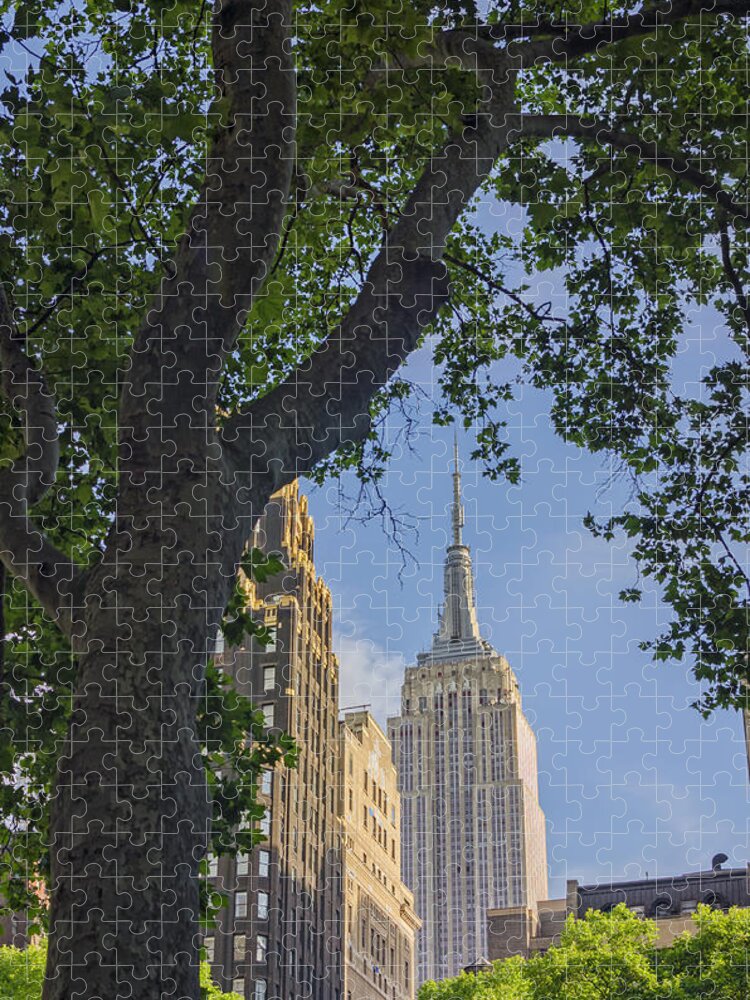 Empire State Building Jigsaw Puzzle featuring the photograph Empire State Building #1 by Marianne Campolongo