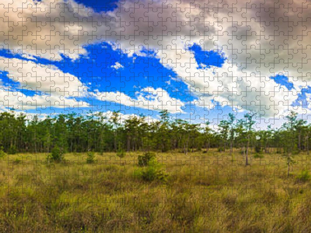 Everglades Jigsaw Puzzle featuring the photograph Florida Everglades #1 by Raul Rodriguez