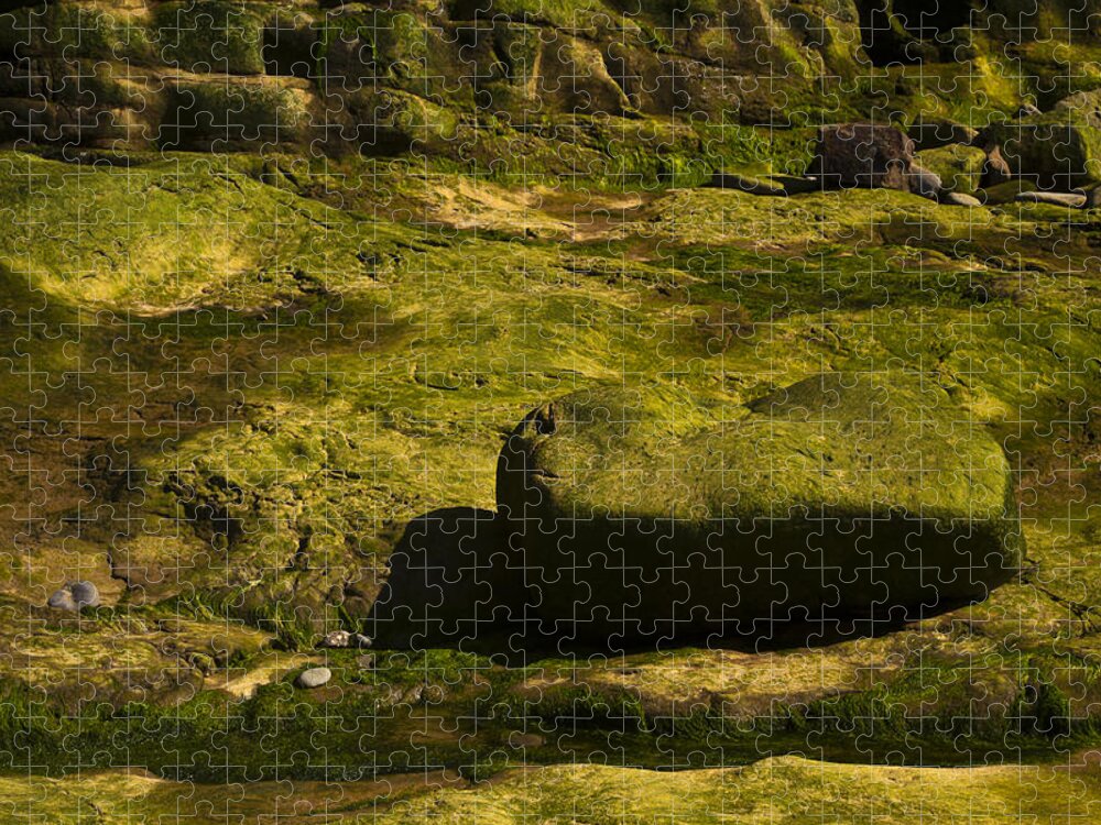 Coastline Jigsaw Puzzle featuring the photograph Green Shore #1 by Irwin Barrett