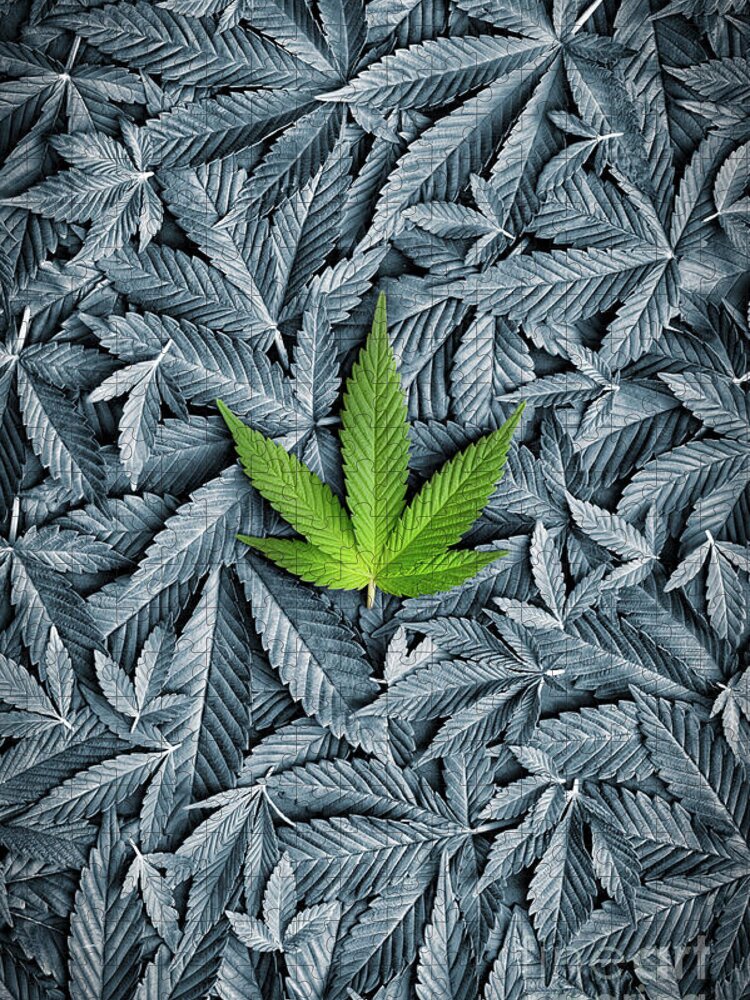 Cannabis Sativa Jigsaw Puzzle featuring the photograph Green #2 by Tim Gainey