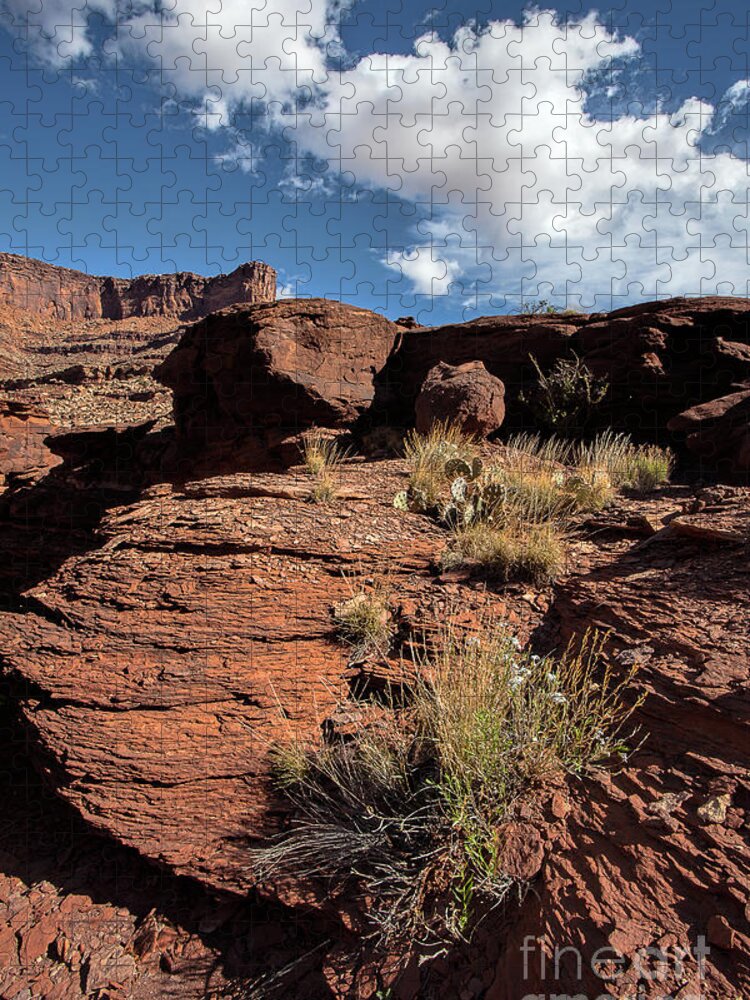 Utah Landscape Jigsaw Puzzle featuring the photograph Higher Ground #2 by Jim Garrison