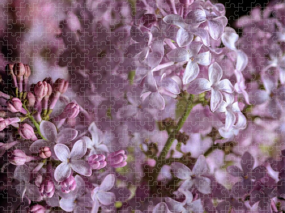 Lilacs Jigsaw Puzzle featuring the photograph Lilac Bouquet II by Tamara Becker