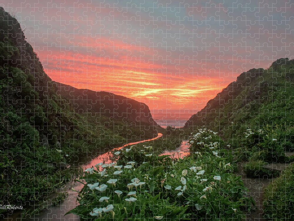 Big Sur Jigsaw Puzzle featuring the photograph Lilies Of the Gulch by Bill Roberts