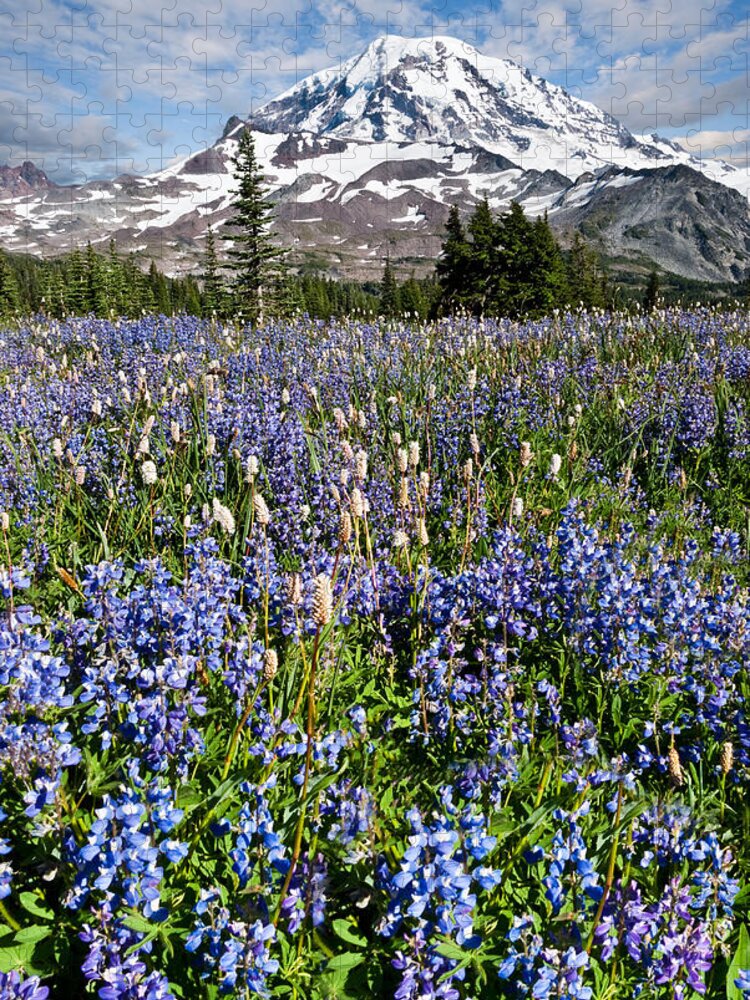 Alpine Jigsaw Puzzle featuring the photograph Meadow of Lupine Near Mount Rainier #1 by Jeff Goulden