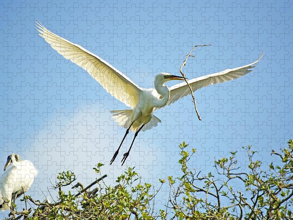 Egret Jigsaw Puzzle featuring the photograph Nest Building #1 by Kenneth Albin
