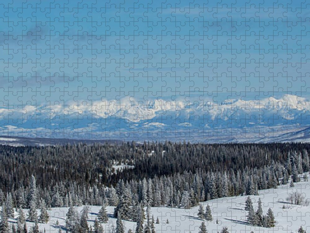  Jigsaw Puzzle featuring the photograph Never Summer #1 by Kevin Dietrich