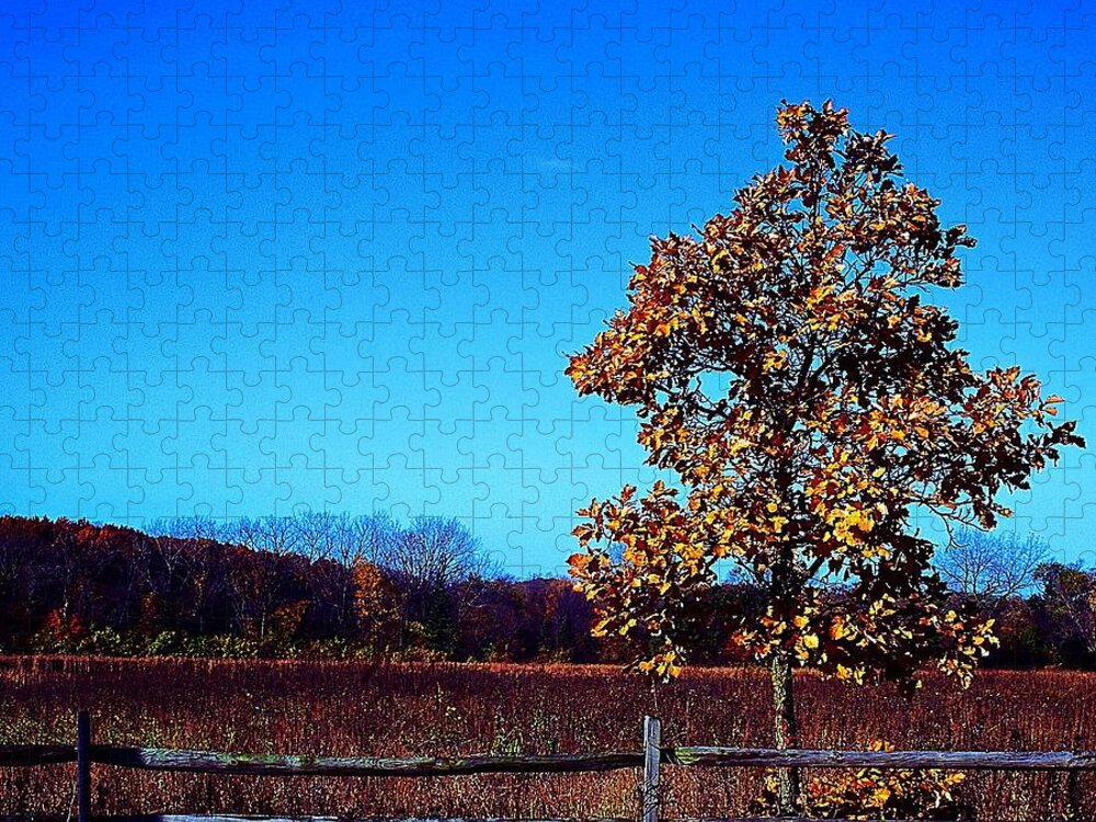 America Jigsaw Puzzle featuring the photograph One or Another - Square by Frank J Casella