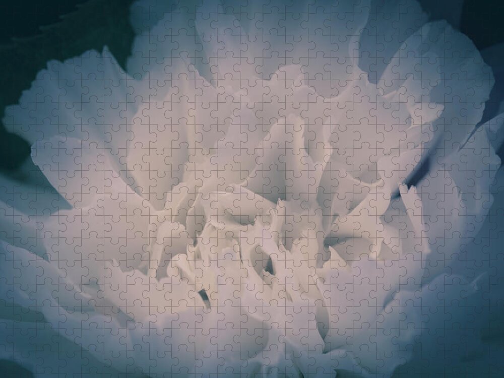 Flower Jigsaw Puzzle featuring the photograph Peony #1 by Allin Sorenson