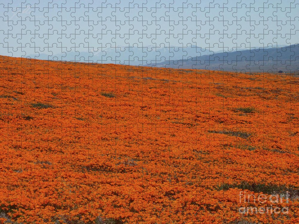 California Jigsaw Puzzle featuring the photograph Poppy Field II by Suzette Kallen