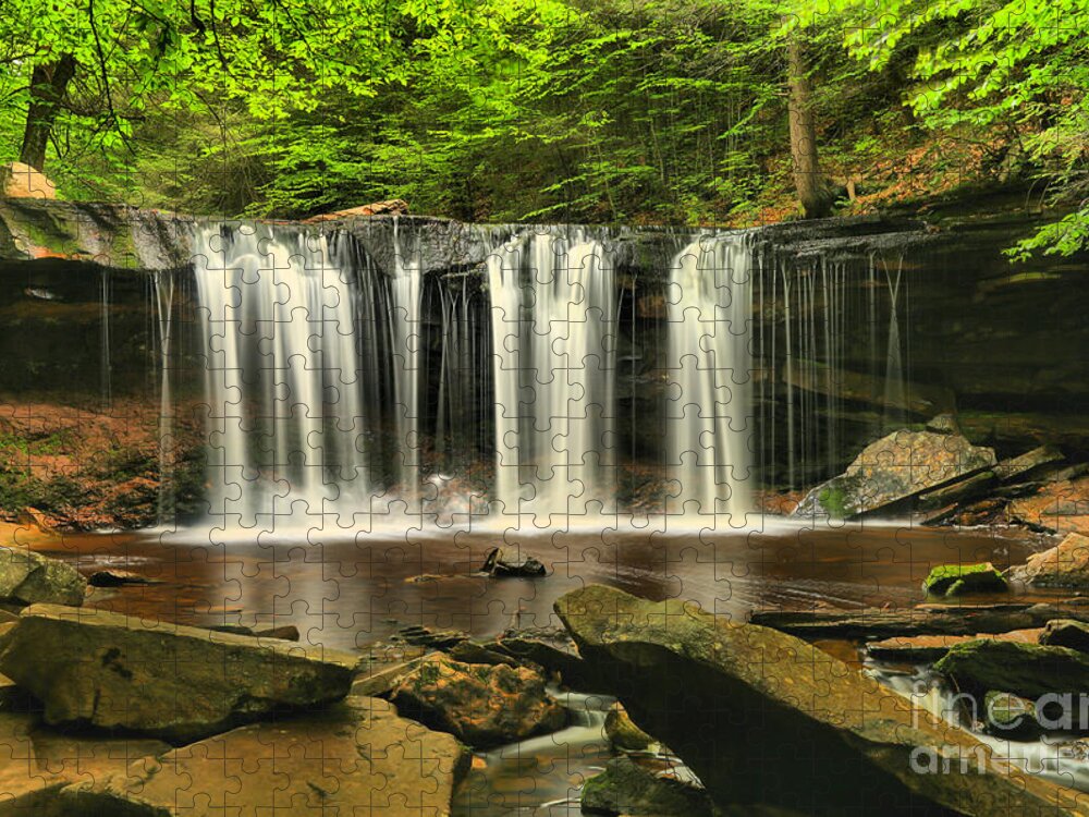Oneida Falls Jigsaw Puzzle featuring the photograph Ricketts Glen Oneida Falls #1 by Adam Jewell