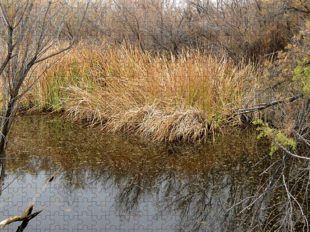 Riparian Jigsaw Puzzle featuring the photograph River Grass #1 by Laurel Powell