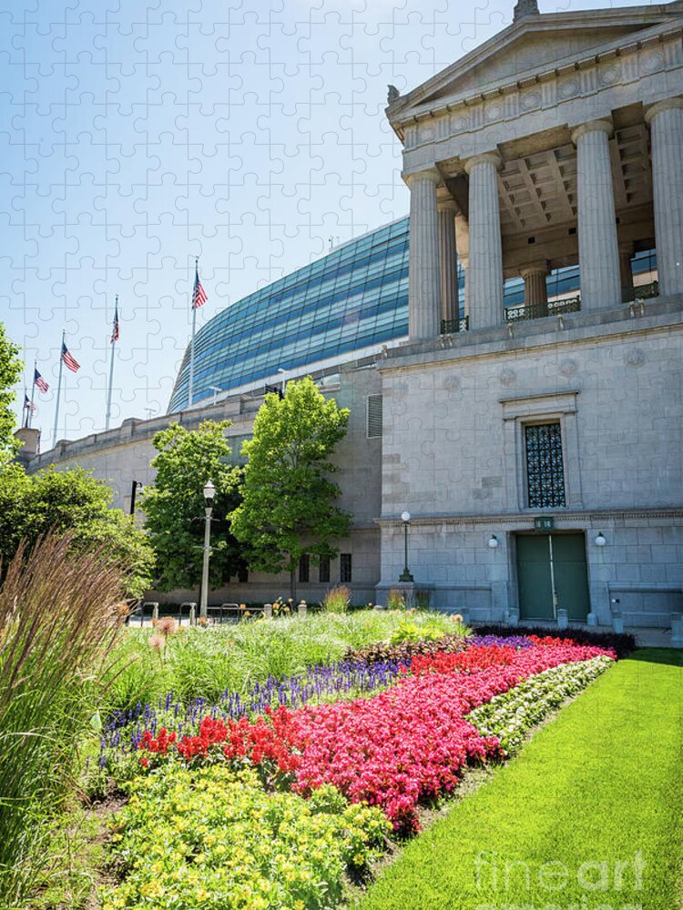 Chicago Jigsaw Puzzle featuring the photograph Soldier Field by David Levin