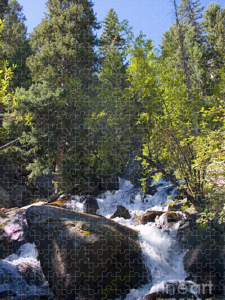South Catamount Creek Jigsaw Puzzle featuring the photograph South Catamount Falls #1 by Steven Krull