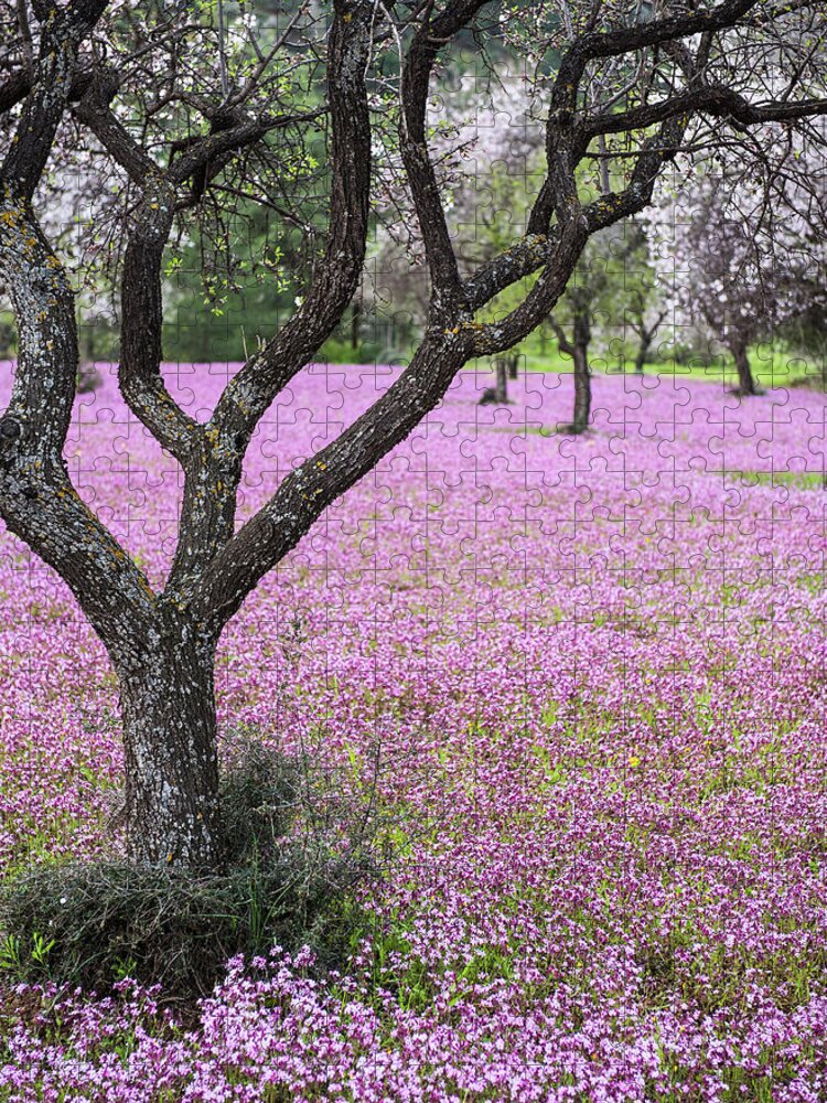 Spring Jigsaw Puzzle featuring the photograph Spring landscape. Almond tree and purple flower field by Michalakis Ppalis