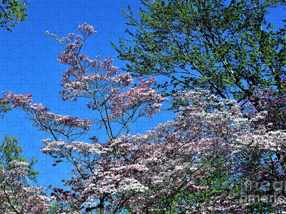 Flowers Jigsaw Puzzle featuring the photograph Springtime in Louisville by Merle Grenz