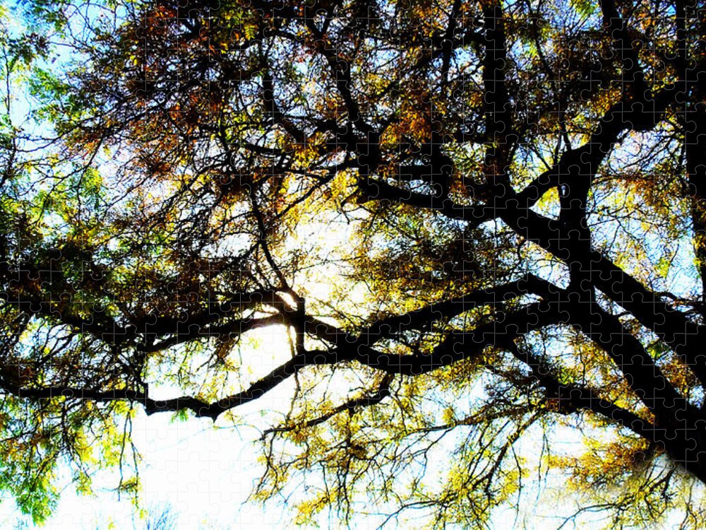 Trees Jigsaw Puzzle featuring the photograph Sunday Afternoon #1 by Julie Hamilton