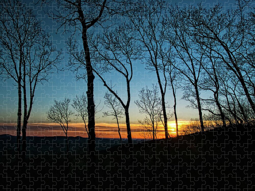 Sun Jigsaw Puzzle featuring the photograph Sunset Trees #1 by George Taylor