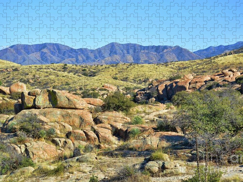 Landscape Jigsaw Puzzle featuring the photograph Texas Canyon Arizona by Diana Mary Sharpton