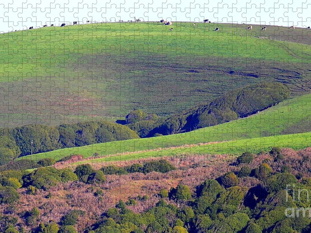 Landscape Jigsaw Puzzle featuring the photograph When the Cows Come Home #1 by Wingsdomain Art and Photography