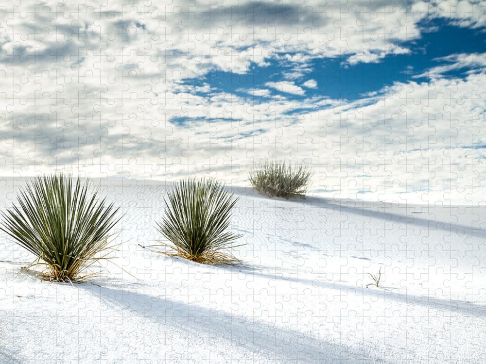 New Mexico Jigsaw Puzzle featuring the photograph White Sands, New Mexico #1 by Ron Pate