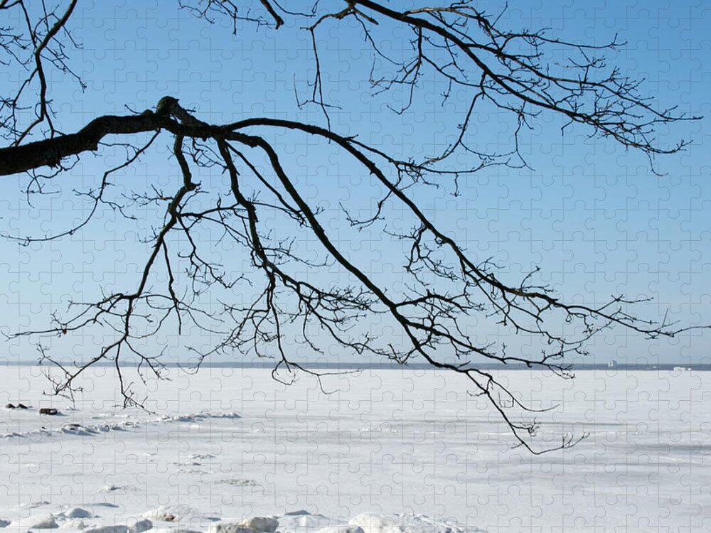 Winter Jigsaw Puzzle featuring the photograph Winter by Masha Batkova