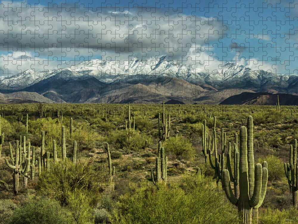 Arizona Jigsaw Puzzle featuring the photograph Winter Sonoran Style #2 by Saija Lehtonen