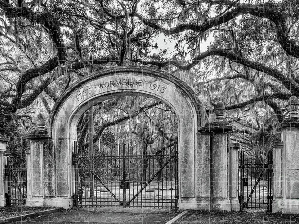 Wormsloe Gate Jigsaw Puzzle featuring the photograph Wormsloe Gate, Savannah, Georgia #1 by Dawna Moore Photography