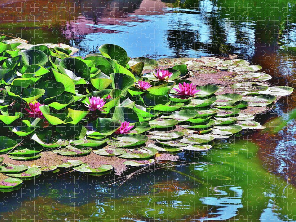 Linda Brody Jigsaw Puzzle featuring the photograph 12 Lily Pond with Water Reflections by Linda Brody