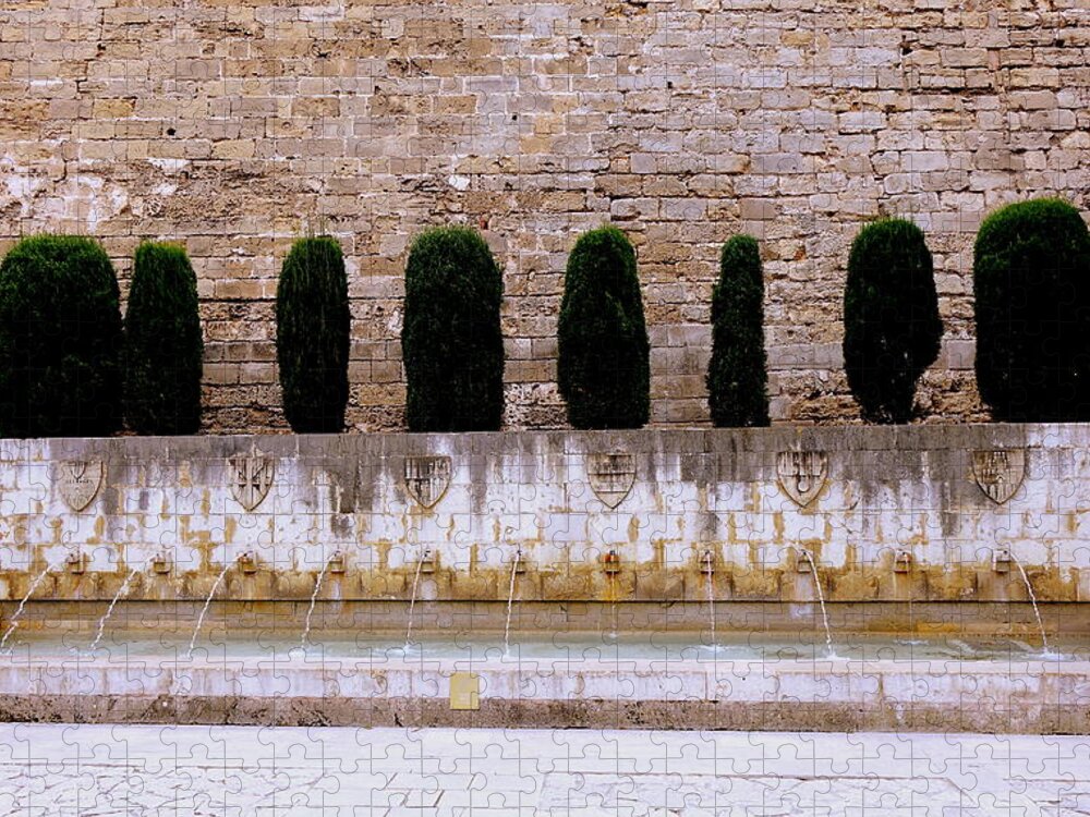 Public Fountain Jigsaw Puzzle featuring the photograph Public Fountain In Palma Majorca Spain #16 by Rick Rosenshein