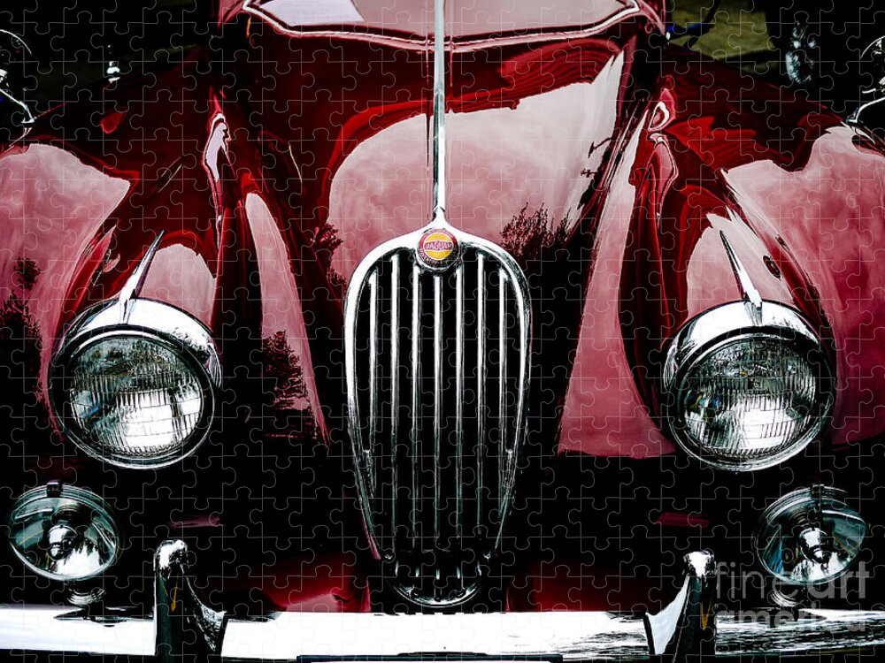 1955 Jigsaw Puzzle featuring the photograph 1955 Jaguar Front Grill by M G Whittingham