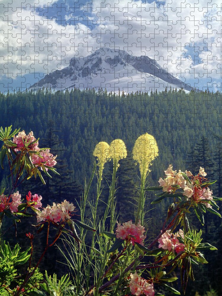 1m5101 Jigsaw Puzzle featuring the photograph 1M5101 Flowers and Mt. Hood by Ed Cooper Photography