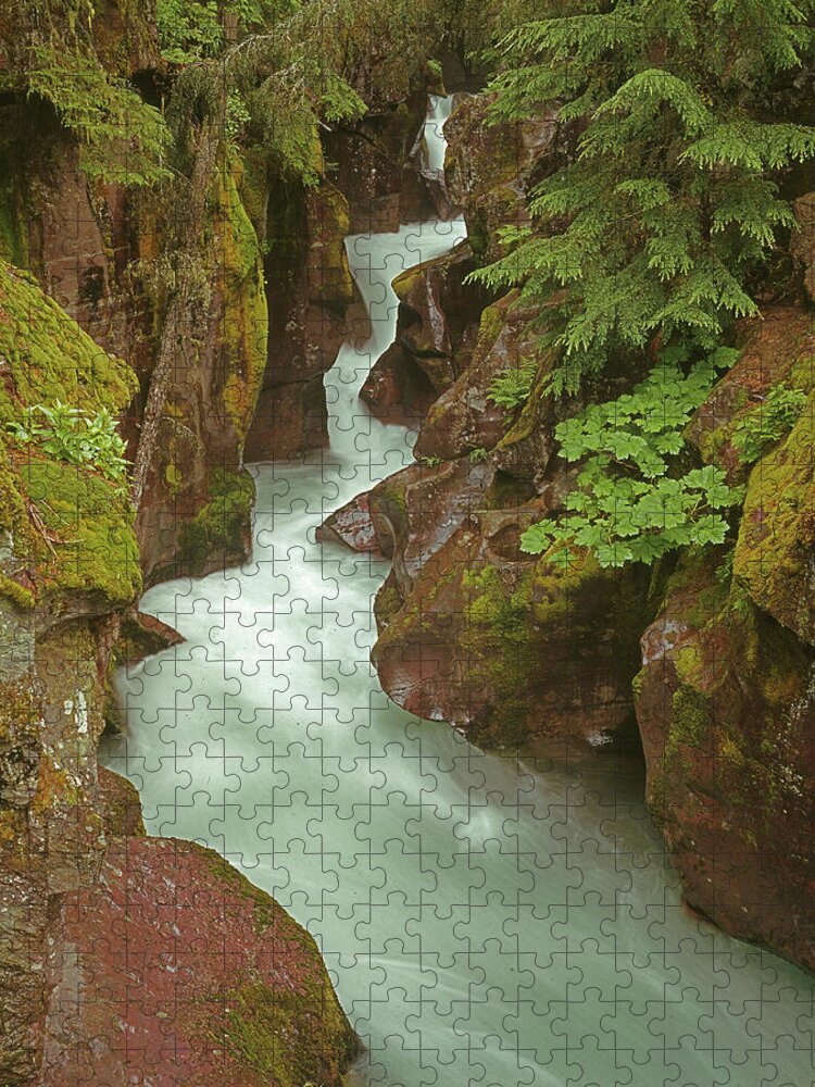 1m8115 Jigsaw Puzzle featuring the photograph 1M8115 Avalanche Gorge MT by Ed Cooper Photography