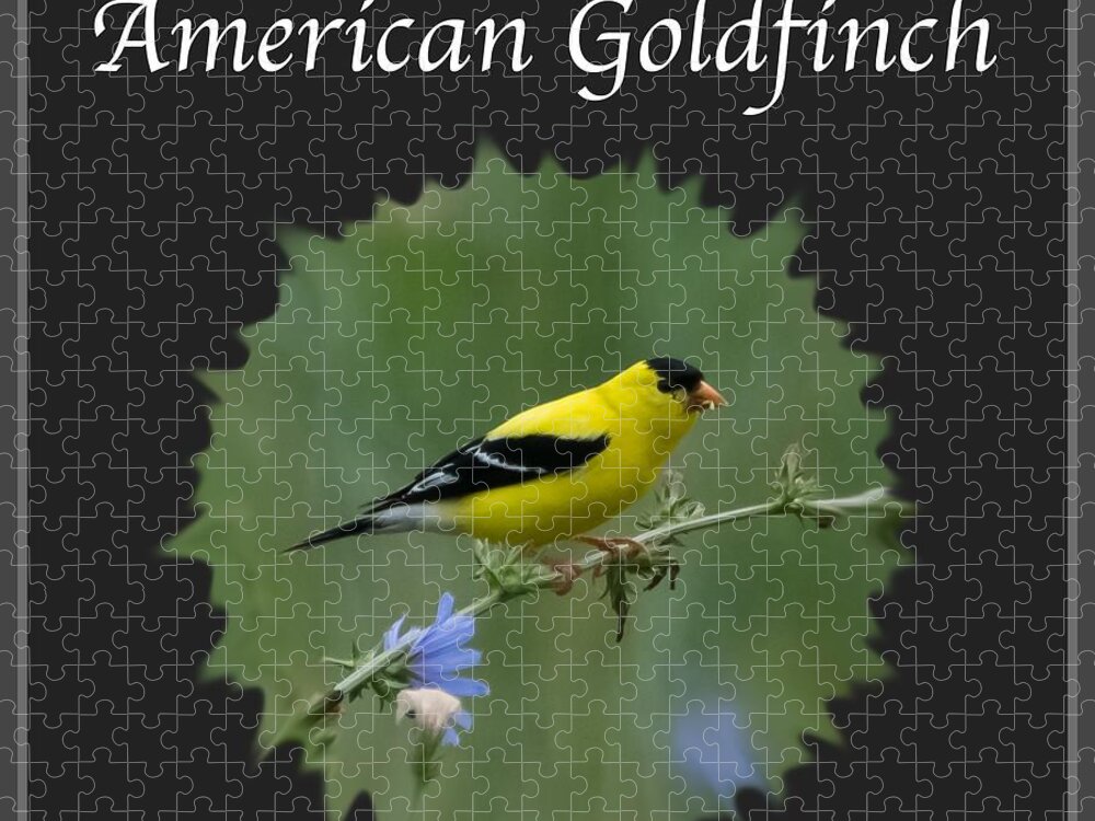 American Goldfinch Jigsaw Puzzle featuring the photograph American Goldfinch by Holden The Moment