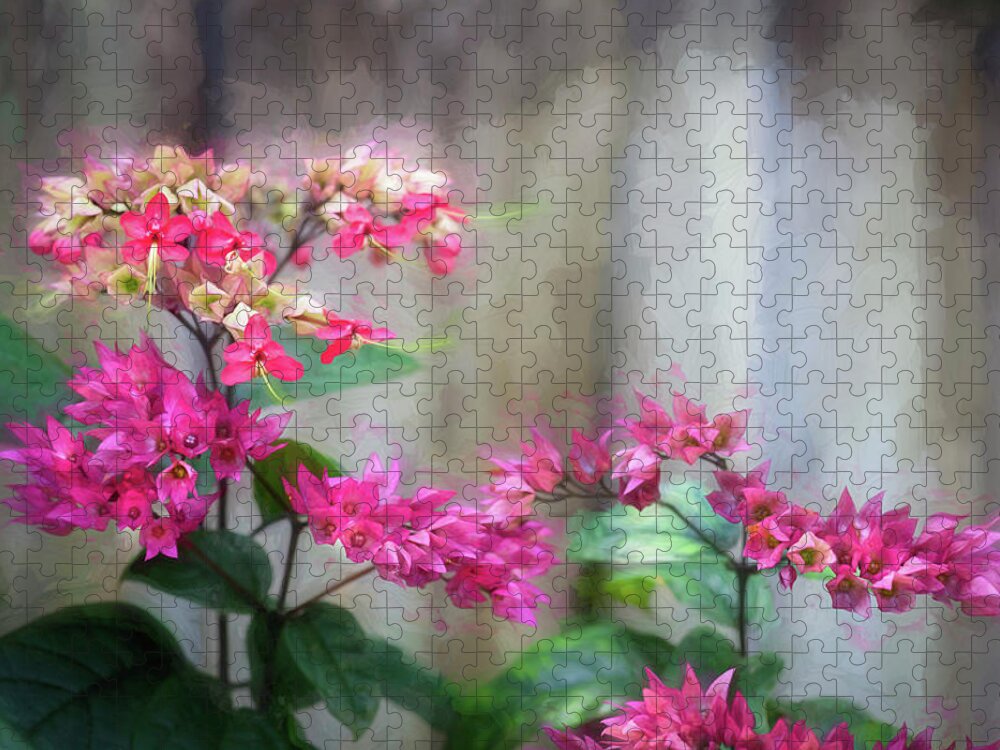 Bleeding Heart Jigsaw Puzzle featuring the photograph Bleeding Heart Flowers Clerodendrum Painted #2 by Rich Franco