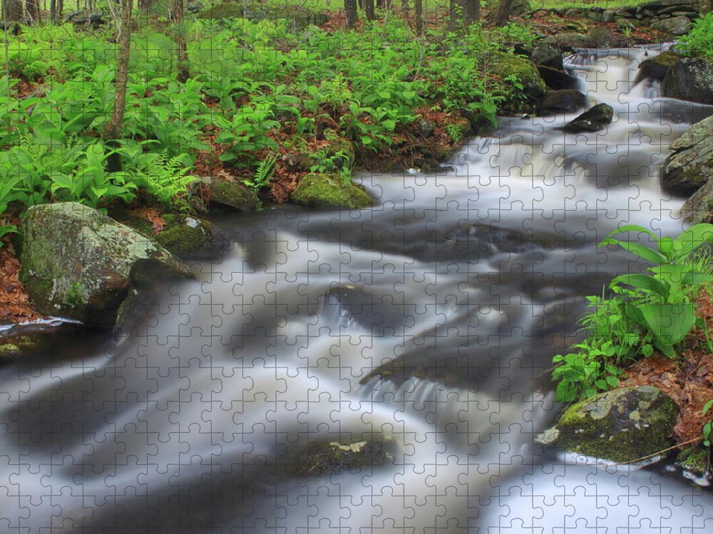Roaring Brook Jigsaw Puzzle featuring the photograph Forest Stream in Spring #2 by John Burk