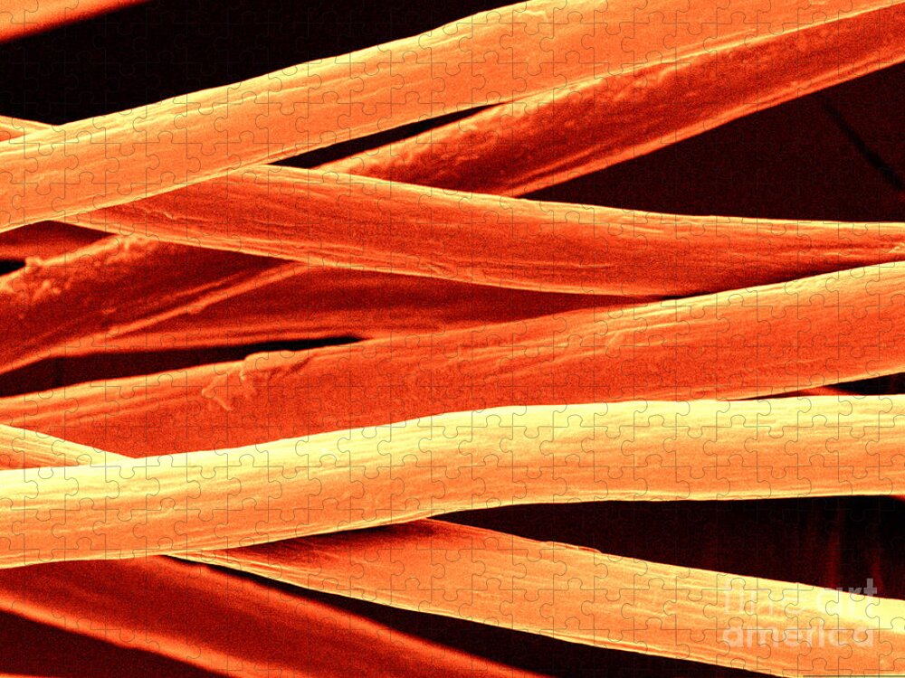 Science Jigsaw Puzzle featuring the photograph Milk Fibers, Sem #2 by Scimat
