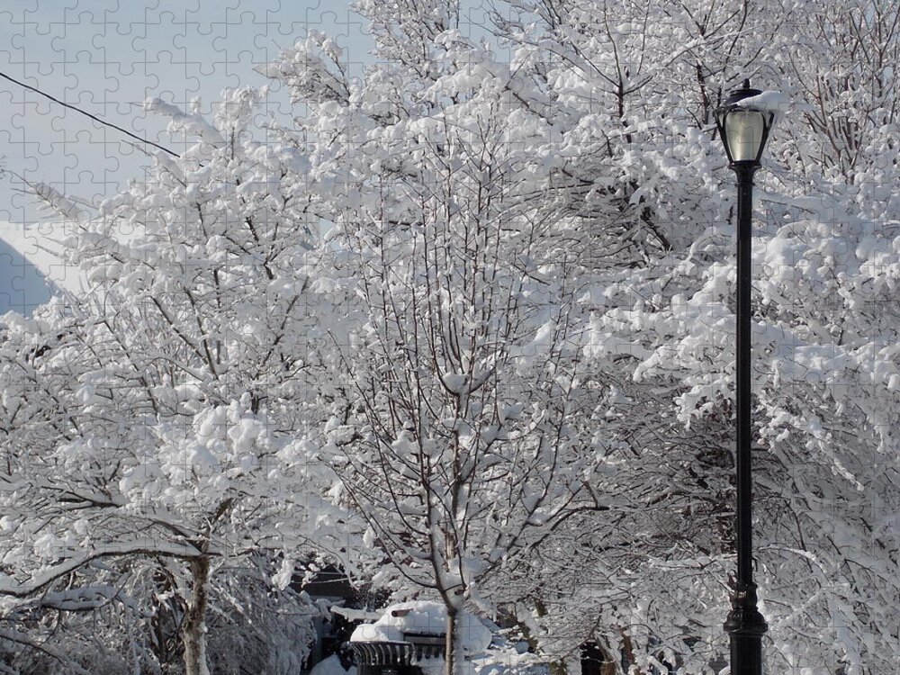 Malden Jigsaw Puzzle featuring the photograph Snow Covered Trees #3 by Catherine Gagne