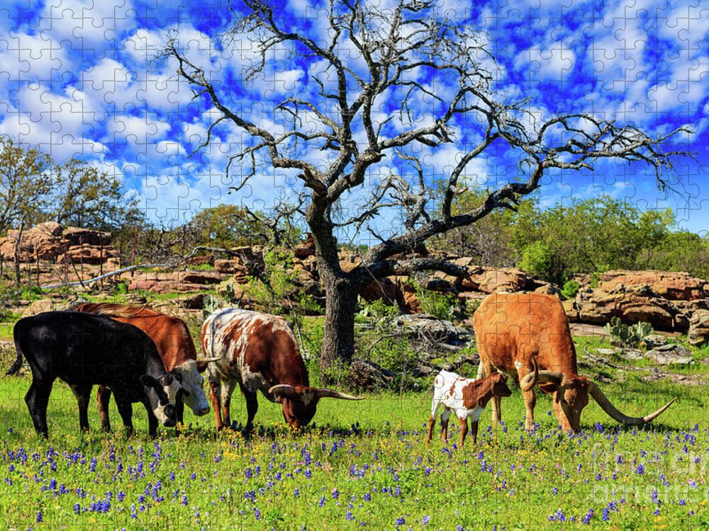 African Breed Jigsaw Puzzle featuring the photograph Texas Hill Country #2 by Raul Rodriguez