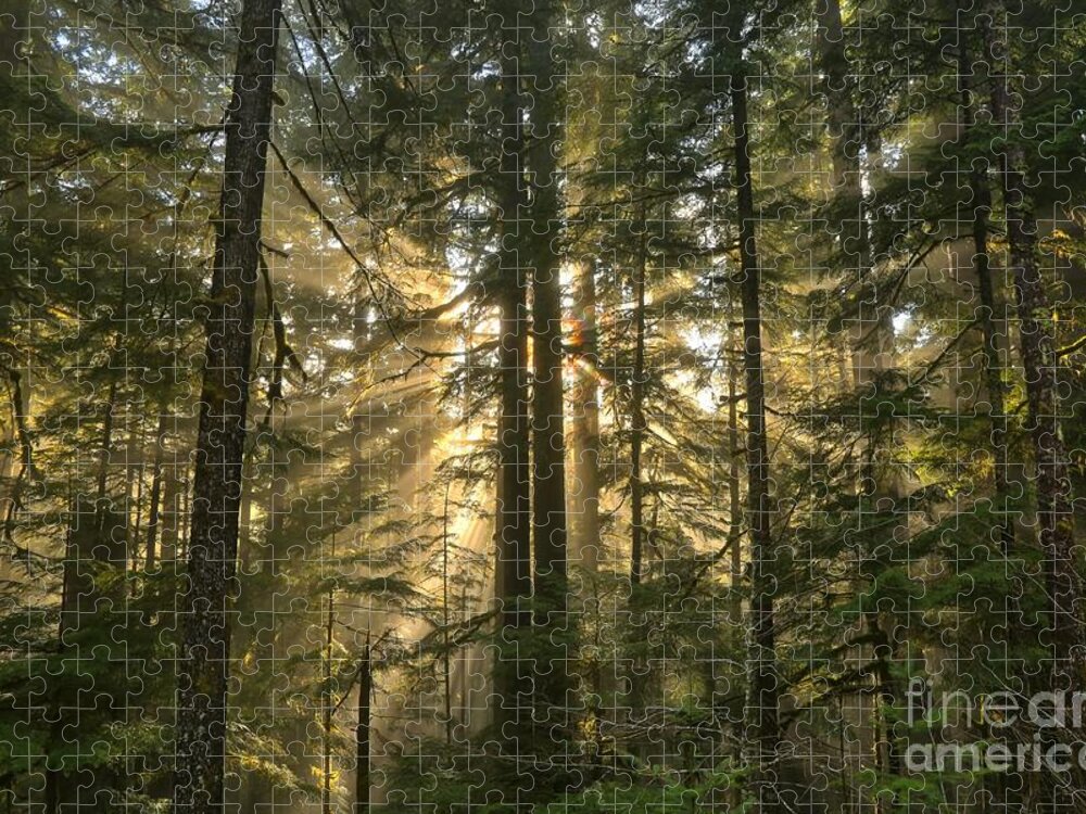 Sol Duc Jigsaw Puzzle featuring the photograph Olympic Light Beams by Adam Jewell