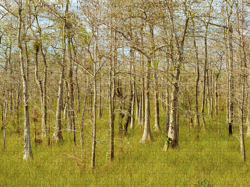 Big Cypress National Preserve Jigsaw Puzzle featuring the photograph Florida Everglades by Raul Rodriguez