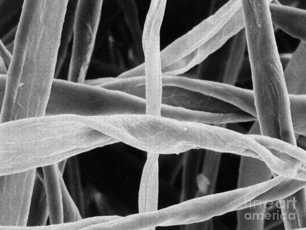 Sem Jigsaw Puzzle featuring the photograph Cotton Fibers #3 by Science Source