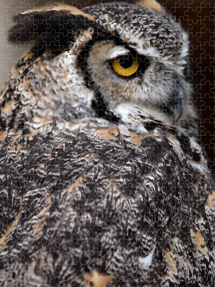 Great Horned Owl Jigsaw Puzzle featuring the photograph Great Horned Owl #3 by JT Lewis
