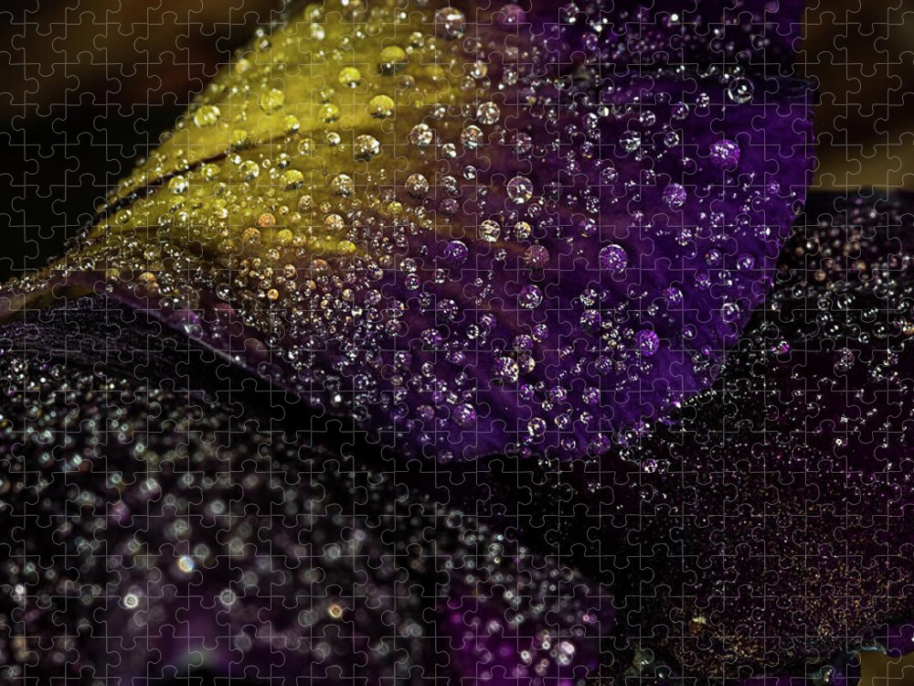 Jay Stockhaus Jigsaw Puzzle featuring the photograph Purple and Yellow #3 by Jay Stockhaus