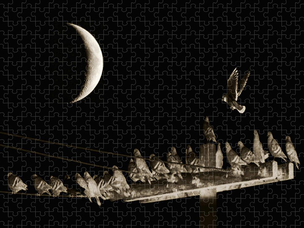 Moon Jigsaw Puzzle featuring the photograph The Gathering #3 by Terry Fiala