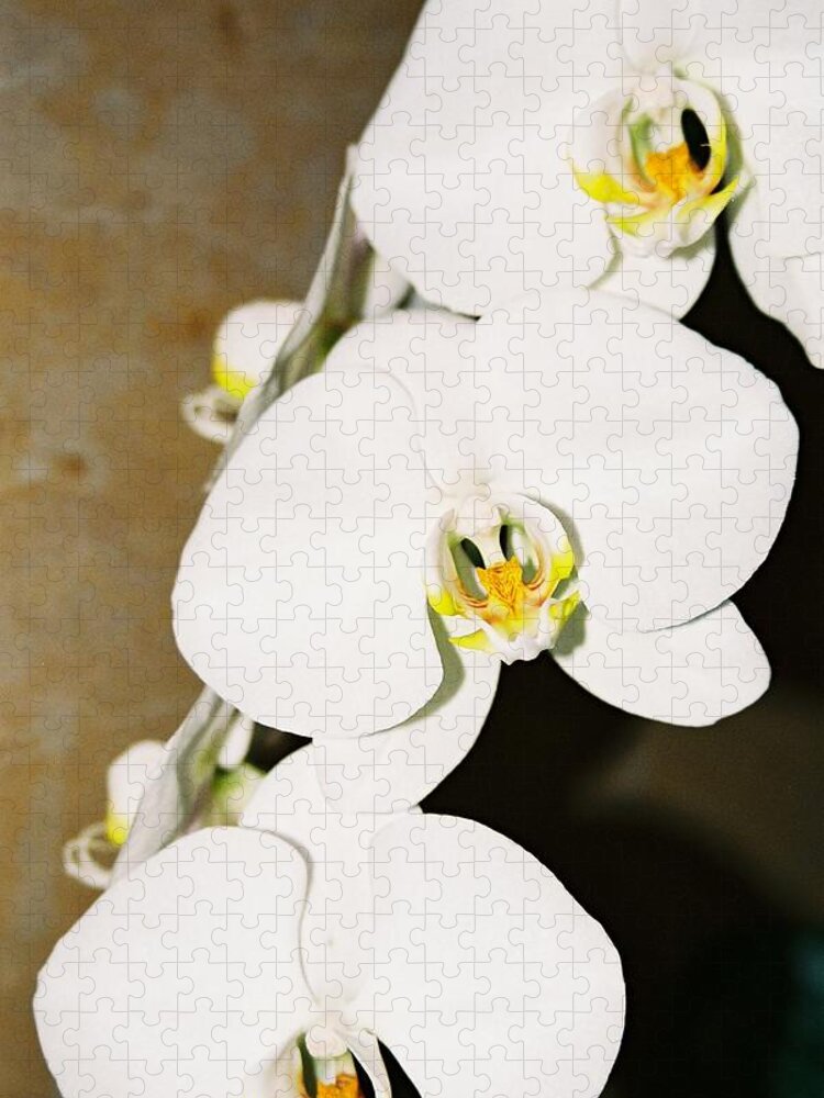 White Orchids Jigsaw Puzzle featuring the photograph 3 White Orchids by Lauri Novak