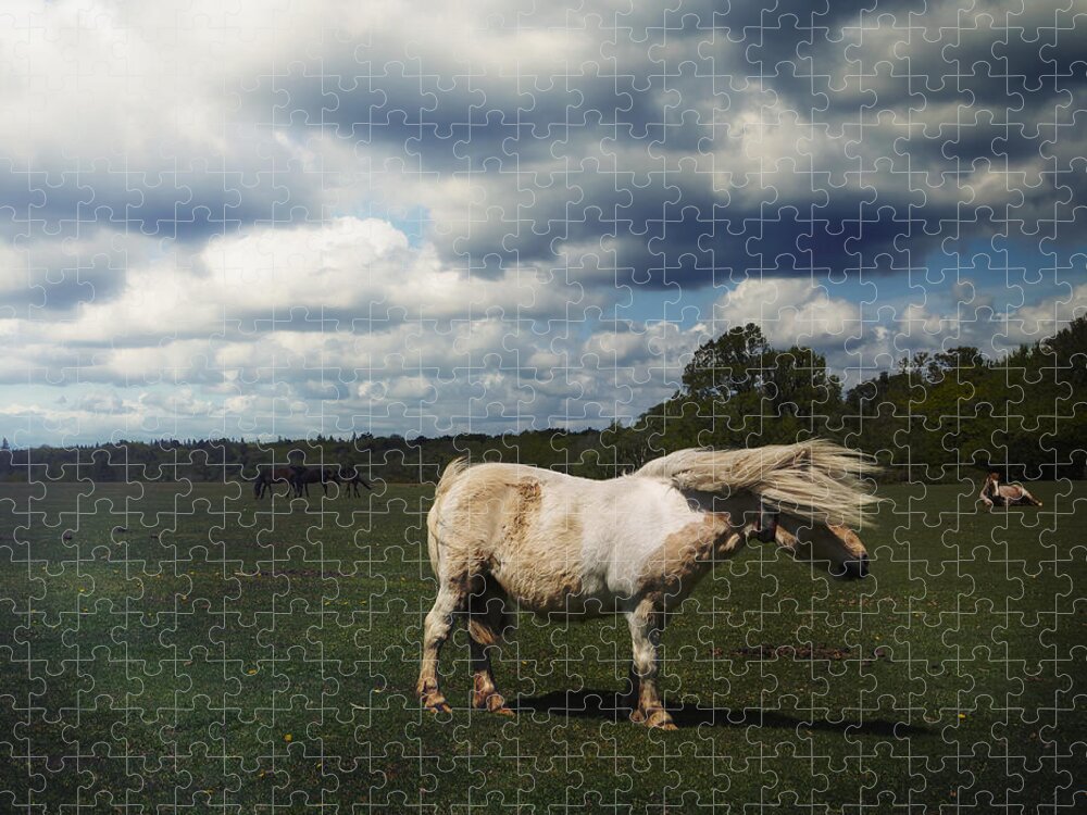 Pony Jigsaw Puzzle featuring the photograph Windy Day #3 by Joana Kruse