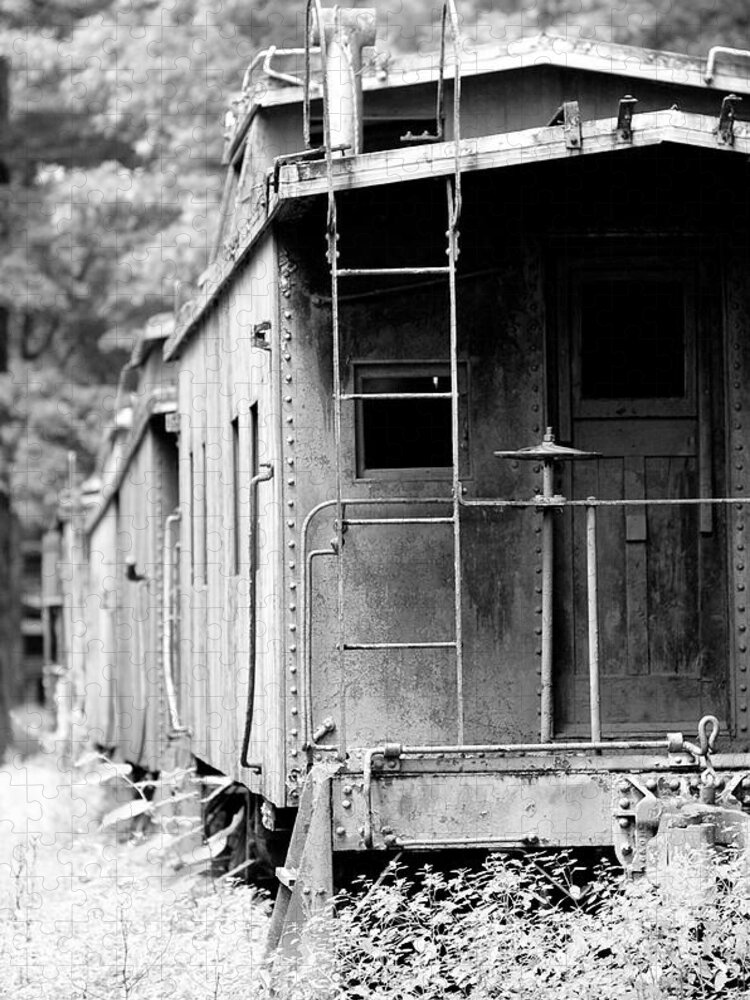 Train Jigsaw Puzzle featuring the photograph Train #4 by Sebastian Musial