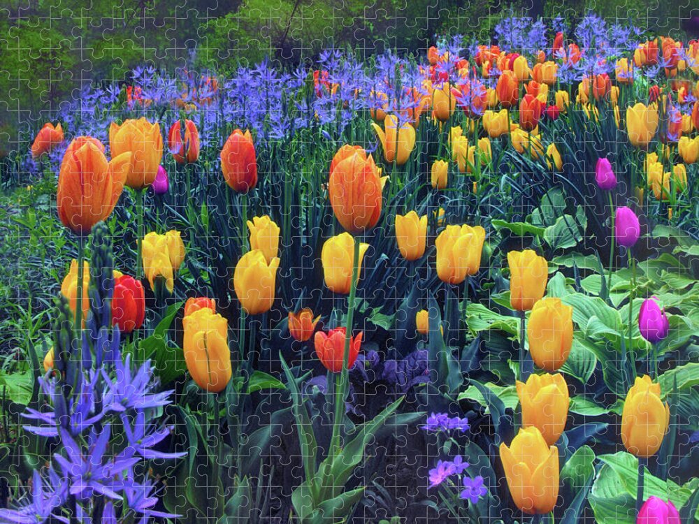 Tulips Jigsaw Puzzle featuring the photograph Procession of Tulips by Jessica Jenney