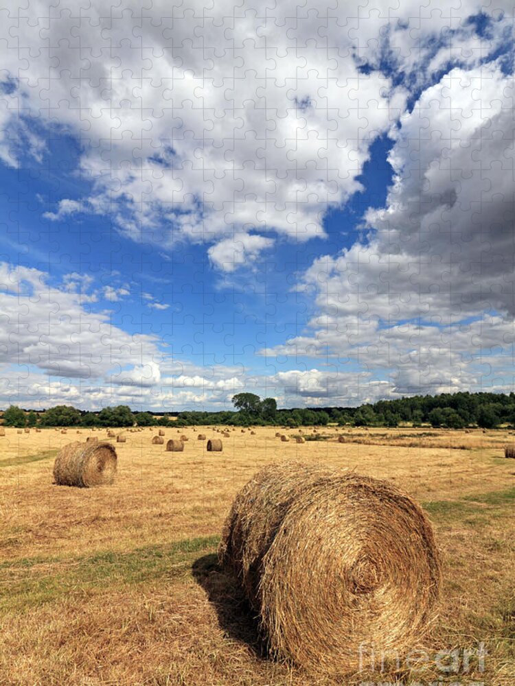 Summer Bale Bales Of Hay In The English Countryside At Minster Lovell Oxfordshire England Uk Britain British Field Landscape Summer Scene Idyllic Tranquil Scenic Round Circular Cotswolds Fluffy Clouds Blue Sky Jigsaw Puzzle featuring the photograph Bales of Hay in the English Countryside #10 by Julia Gavin