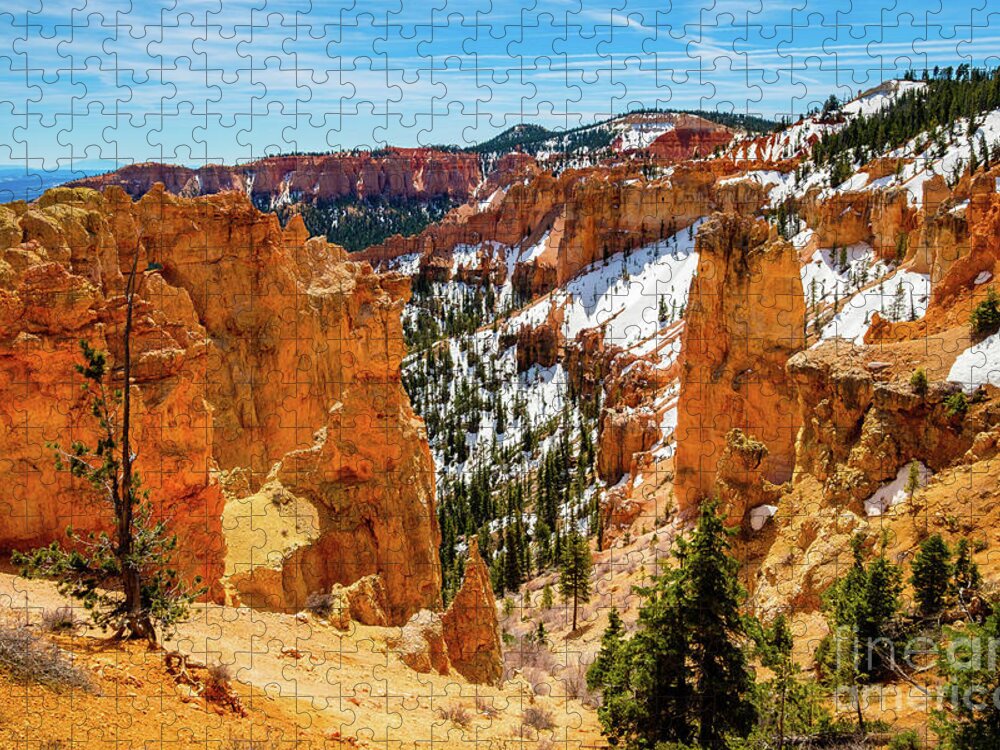 Black Birch Canyon Jigsaw Puzzle featuring the photograph Bryce Canyon Utah #5 by Raul Rodriguez